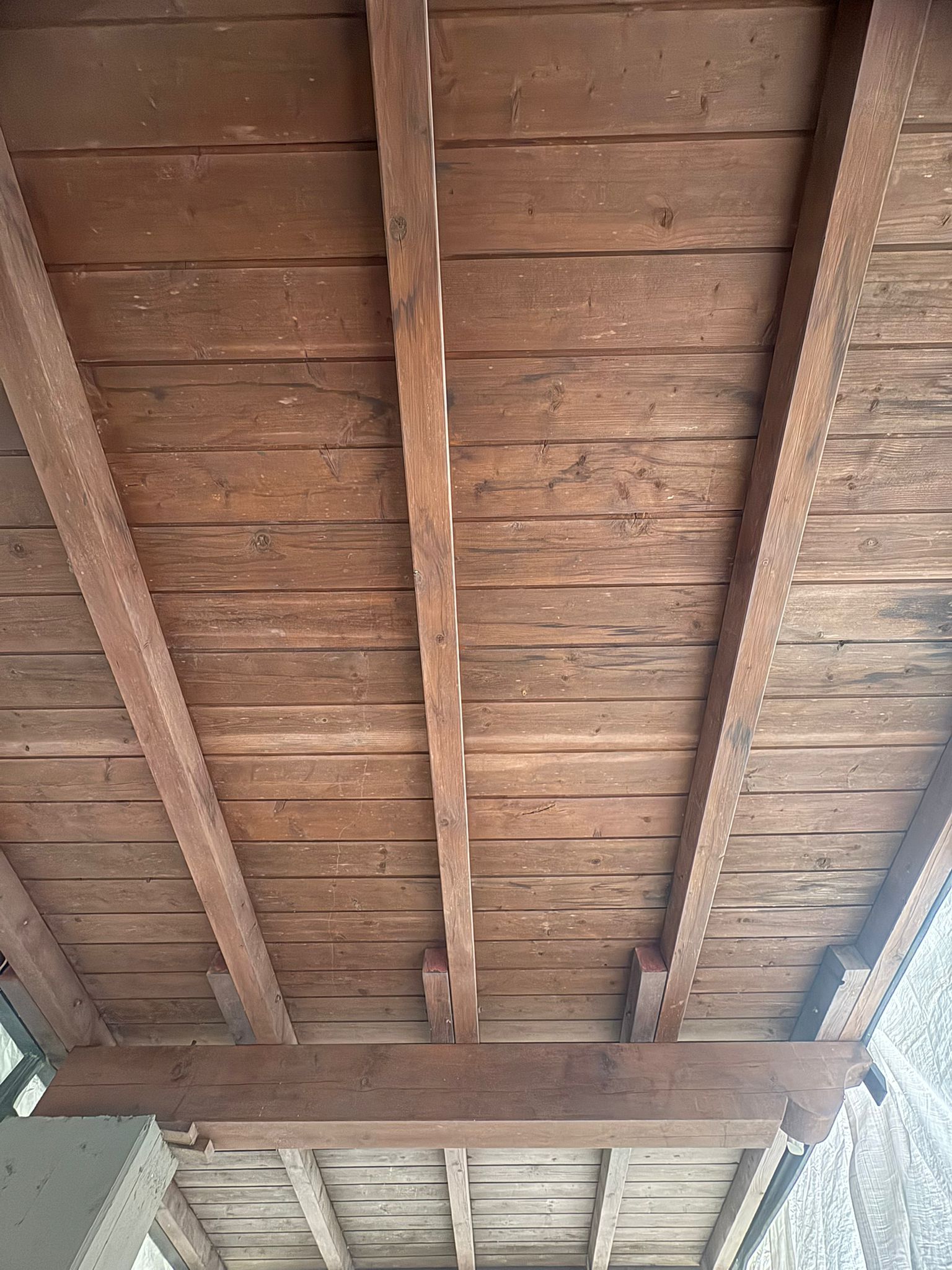 Prima